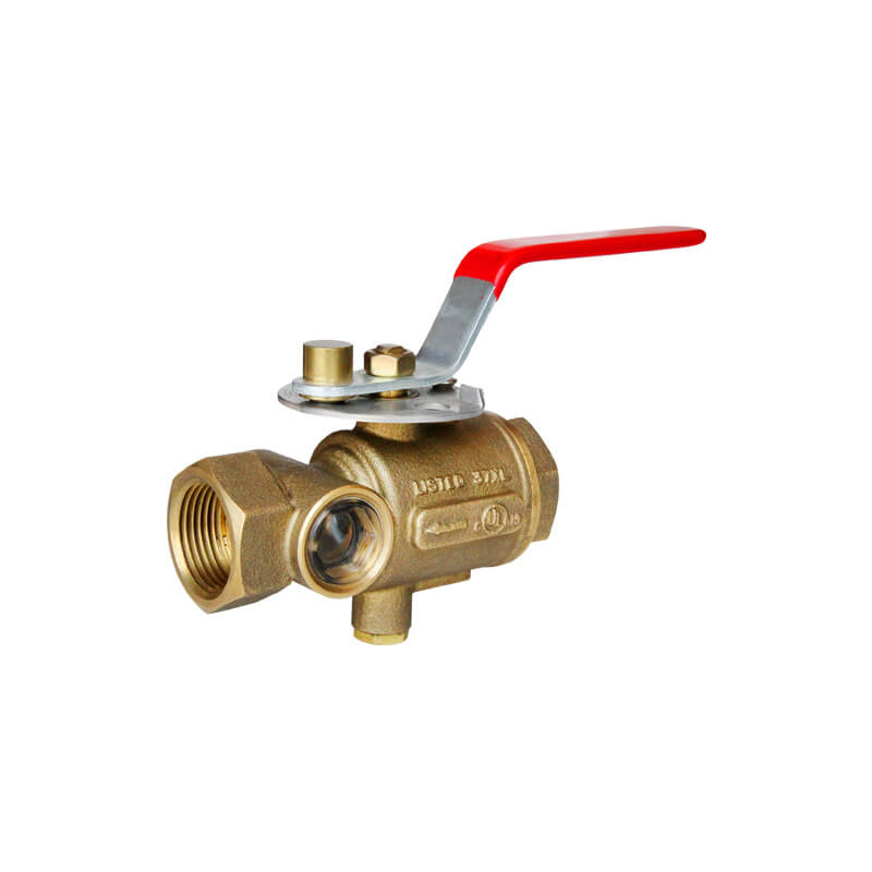 Test and Drain Valve